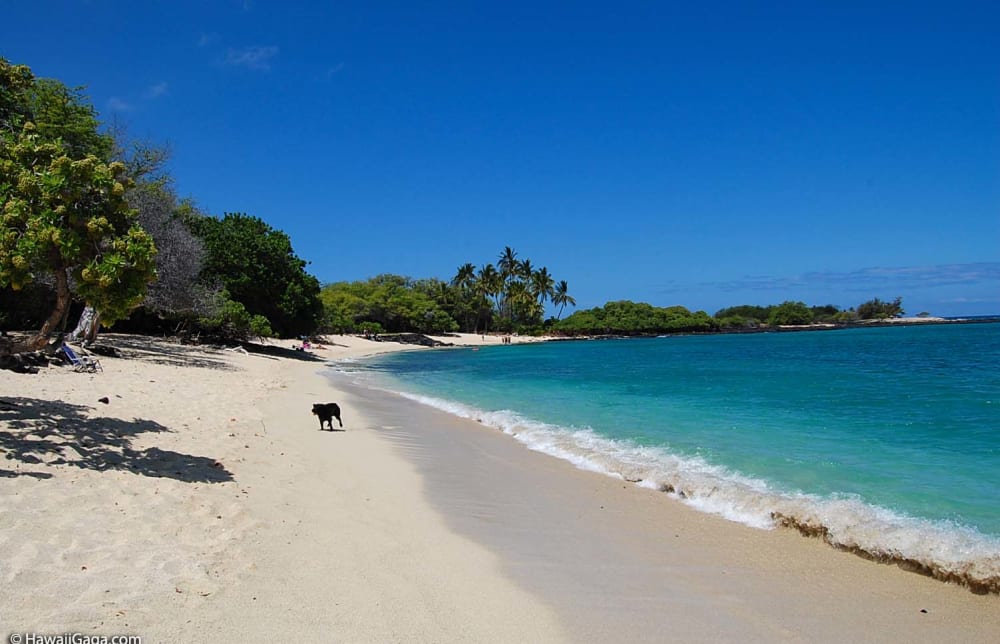 Kekaha Kai Beach Park