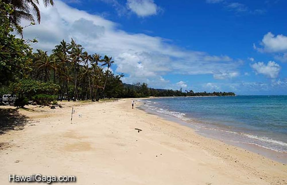 Punaluu Beach Park