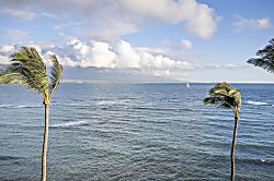 Maalaea Oceanfront Condo