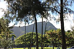 The Gold Coast of Waikiki