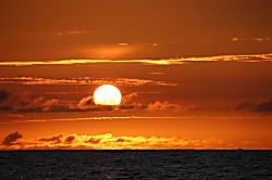 The Gold Coast of Waikiki