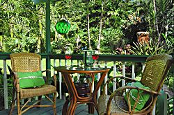 Tiki Hut