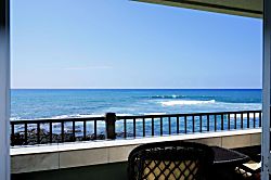 Banyan Tree 205