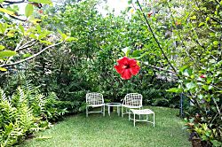 Hanalei Bay Honeymoon Rental