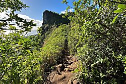 Wailua Bay View 104