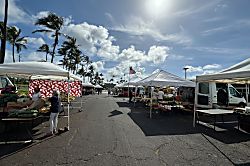Wailua Bay View 104