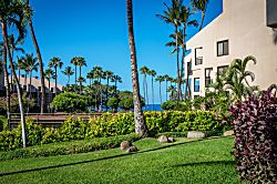 Kamaole Sands 2-104