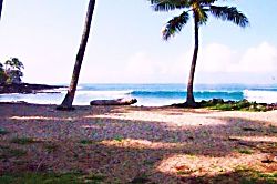 Kona Reef 3B 
