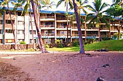 Kona Reef 3B 