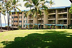 Kona Reef 3B 