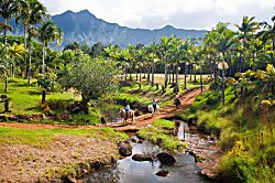 Wailua Bay View 110