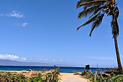 Honua Kai Konea 501