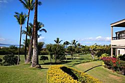 Wailea Ekolu 914