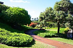 Wailea Ekolu 914