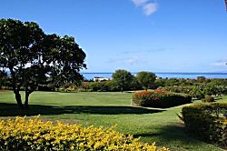 Wailea Ekolu 914