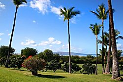 Wailea Ekolu 914
