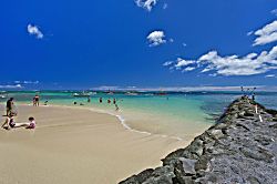 Colony Surf #406