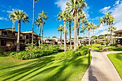 Wailea Elua 2304