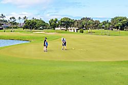 Kahala 812