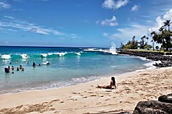 Kahala 812