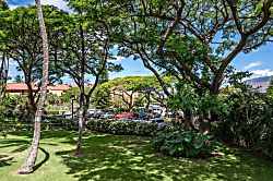 Maui Vista #2-222