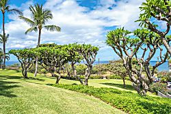 Maui Kamaole #H-111