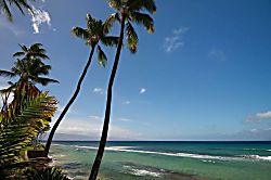 Maui Sands #5G