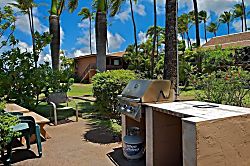 Maui Sands #5G