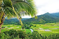Waipouli Beach Resort Oceanfront Condo G104