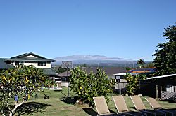 Uhi Wai