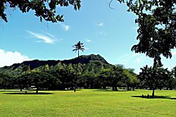 Diamond Head Beach #805