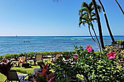 Diamond Head Beach #805