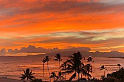 Diamond Head Beach #805
