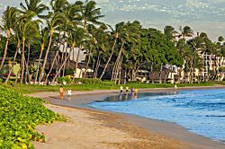 Sugar Beach Resort 618