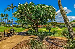 Kahala At Poipu Kai #222