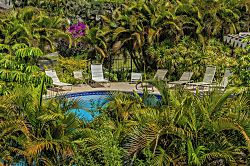 Wailea Ekolu 208