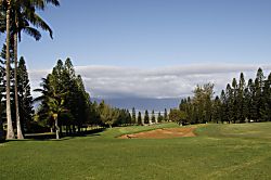 Kamaole Sands 5-315