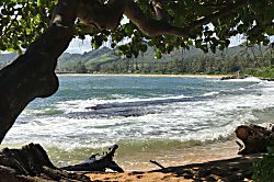 Lea Nani Kauai