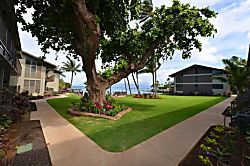 Honokeana Cove 214