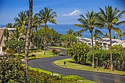 Maui Kamaole #J-103