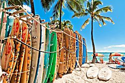 Waikiki Banyan 2814