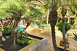 Polo Beach Club 209
