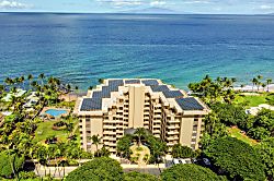 Polo Beach Club 209
