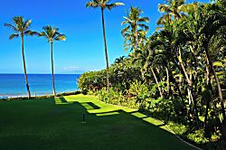 Polo Beach Club 209