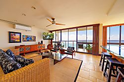 Toyabrown Penthouse