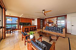 Toyabrown Penthouse