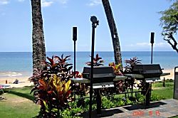 Hale Pau Hana 28