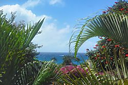 Serenity Villa by the Sea