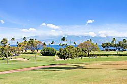 Maui Eldorado K102