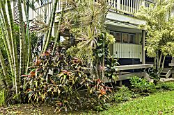 Paniolo Studio